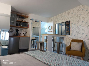 Très beau studio Trois Etoiles, WiFi, Parking Privé Jardin, Montargis